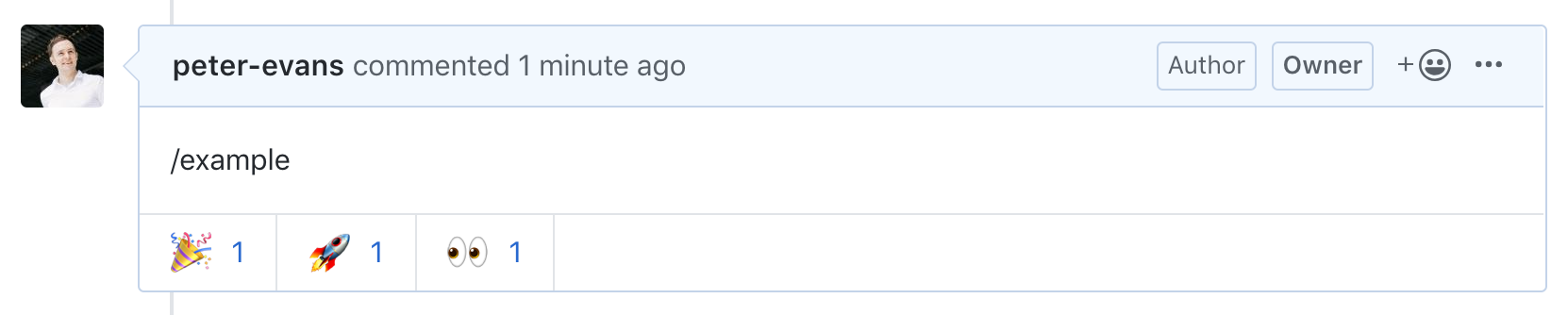 Example Command